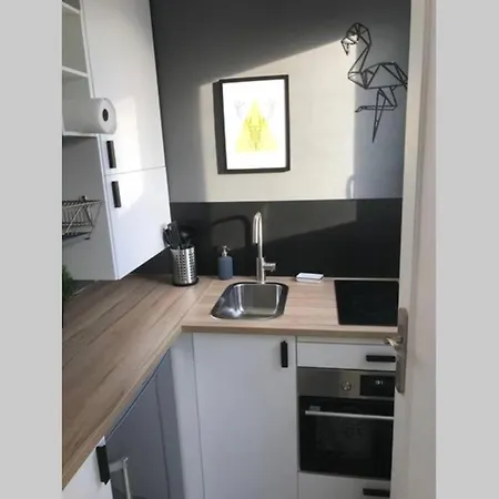 Apartment Poilus : Studio Neuf Avec Parking